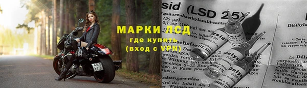 ALPHA PVP Аркадак